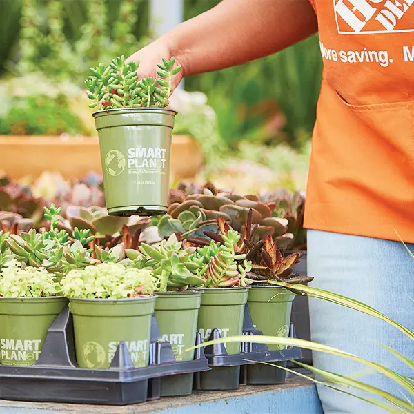 Recyclable Plant Pots